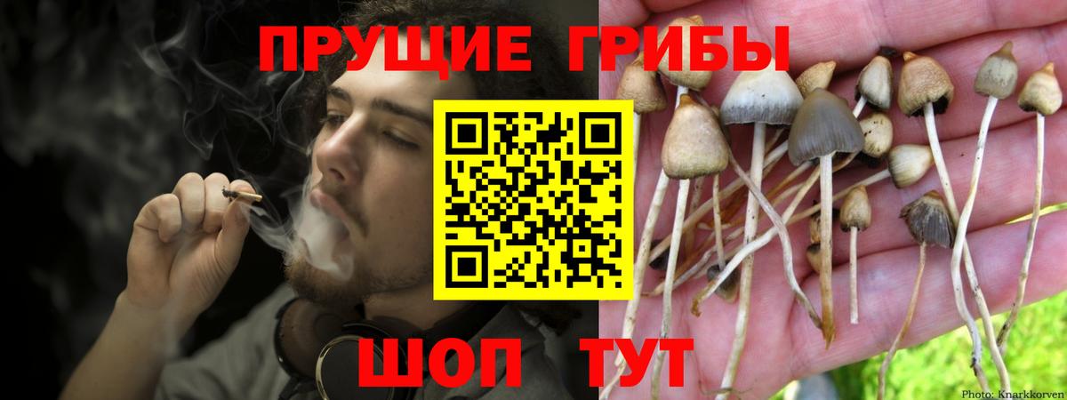 Новоуральск  Псилоцибиновые грибы GOLDEN TEACHER  Галлюциногенные грибы ЛСД  Вход с VPN 